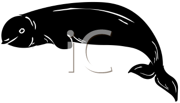 Fish and Sealife Clipart