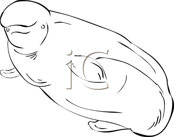 Fish and Sealife Clipart