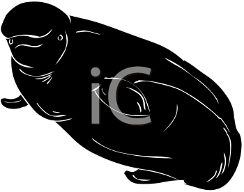 Fish and Sea Life Clipart