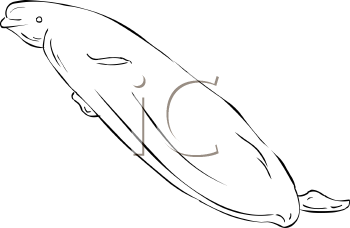 Fish and Sealife Clipart