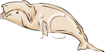 Fish and Sea Life Clipart