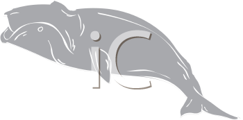Fish and Sea Life Clipart