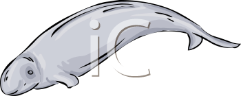 Fish and Sea Life Clipart