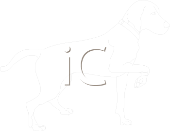 Dog Clipart