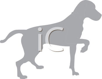 Pet Clipart