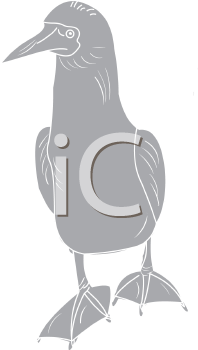 Bird Clipart