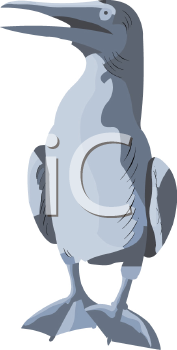 Bird Clipart