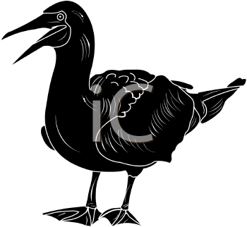 Bird Clipart