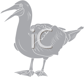 Bird Clipart