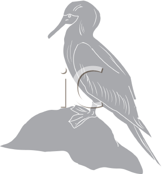 Bird Clipart