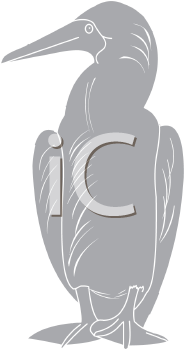 Bird Clipart
