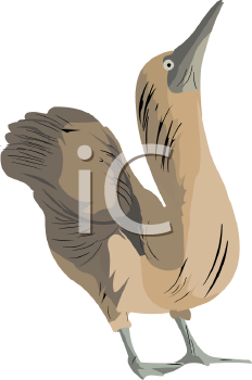 Bird Clipart