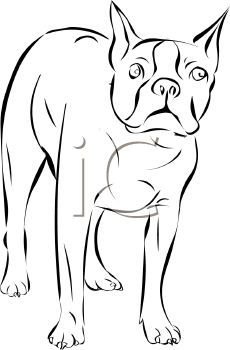 Dog Clipart