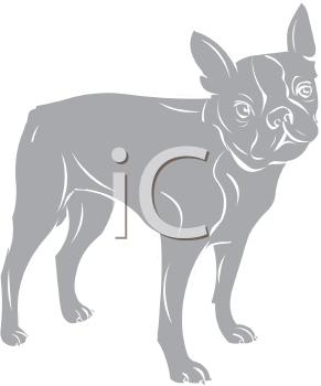 Pet Clipart