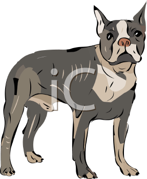 Pet Clipart