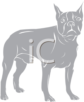 Pet Clipart