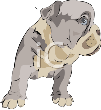 Dog Clipart