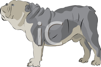 Pet Clipart