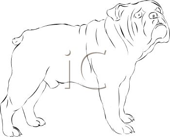 Pet Clipart