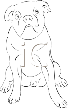 Dog Clipart