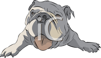 Pet Clipart