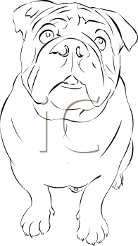 Pet Clipart