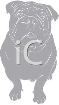 Dog Clipart