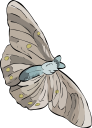 Insect Clipart