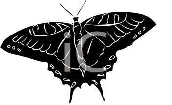 Insect Clipart
