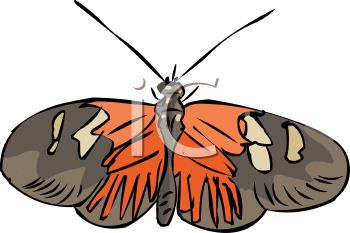 Insect Clipart