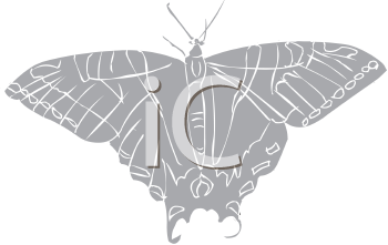 Insect Clipart