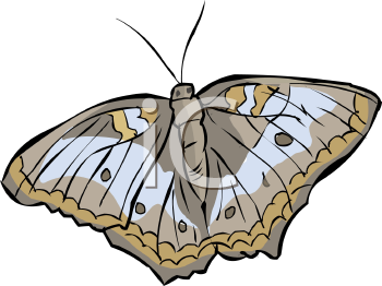 Insect Clipart