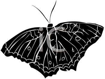 Insect Clipart