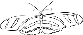 Insect Clipart