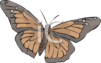 Insect Clipart