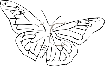 Insect Clipart