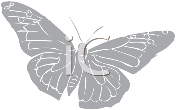 Insect Clipart