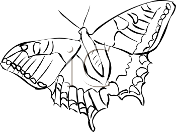 Insect Clipart