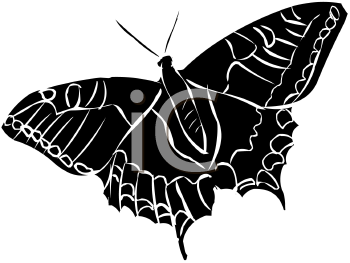 Insect Clipart