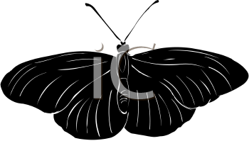 Insect Clipart