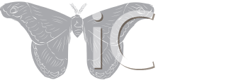 Insect Clipart