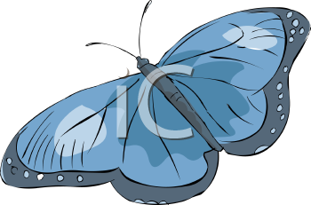Insect Clipart