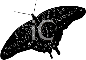 Insect Clipart