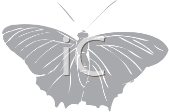 Insect Clipart