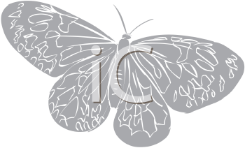 Insect Clipart
