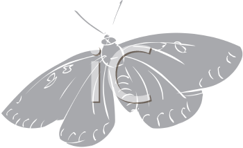 Insect Clipart
