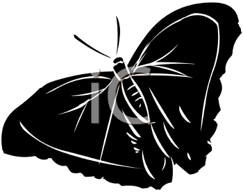 Insect Clipart