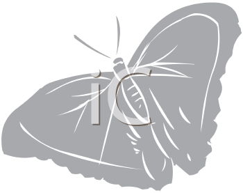 Insect Clipart