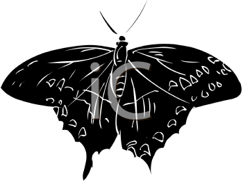 Insect Clipart