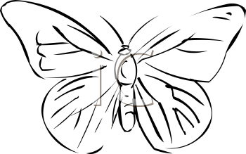 Insect Clipart